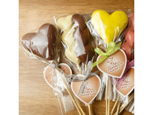 ���������� �������� ������� � ������������ ����������� ������� 70� ���� 110 �