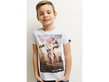 20120110158   Gir   �������.jpg