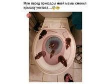 ��� ����� �������� ���� ���� ������ ������ ������� ...