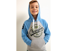 20120100190   Ening   �������.jpg