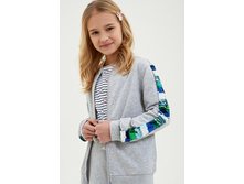 10210130028   Cethosia   �����(������).jpg