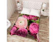 ��������� �������� 13584.jpg