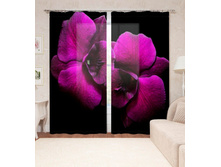 ����001-14106 2.jpg