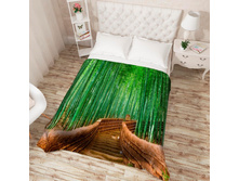 ��������� �������� 13727.jpg