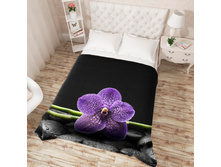 ��������� �������� 14296.jpg