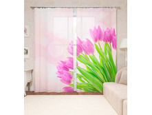 14066 ��������� "������ ��������"