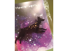 IMG 20190227 210512.jpg