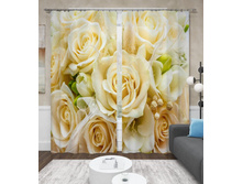 13593 ��������� "����� ���"