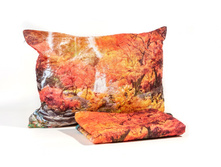 ����008-13548 1.jpg