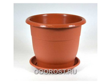 ������ ����� 3,5 �. ����������