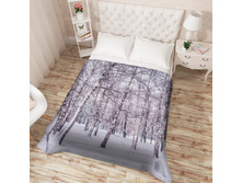 ��������� �������� 13549.jpg