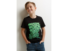 20110110168   Fleming   ������.jpg