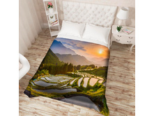 ��������� �������� 13719.jpg