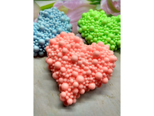 ������ ���������