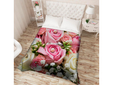 ��������� �������� 13509.jpg