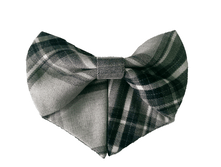 �������-���� ��� ������� GAL-12 ������ ����-�����. 251���