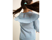 20220260026   Celastrina   �������(������).jpg