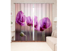 ����001-14009 2.jpg