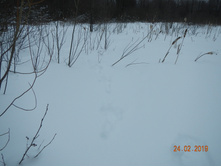 DSCN8281.JPG