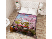 ��������� �������� 13717.jpg