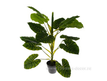 ������������� �������� � ����� �������, 60��