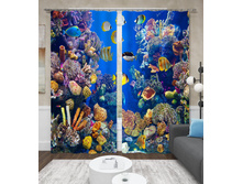 ����001-13525 2.jpg