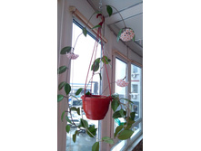 IMG 20190217 084445.jpg