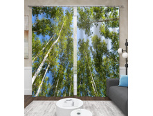 ����001-13552 2.jpg