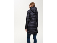 102�00�610�061   Antil   ������(.jpg