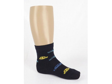 ����� ������� �219  ������ �������� ���� 26 ���