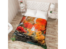 ��������� �������� 13548.jpg