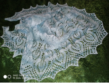 IMG 20190209 092235.jpg