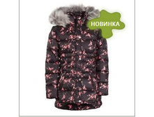 W4079 ������ ������ Kuvio  �������_60_�����_33,6