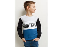 20120100176   Chan   �������.jpg