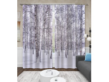 ����001-13549 2.jpg