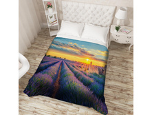 ��������� �������� 13683.jpg