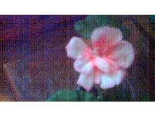 ���������� Something Special