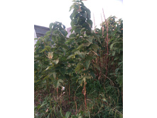 ��������� ������ ������