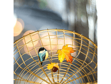 IMG 20190212 200807.png