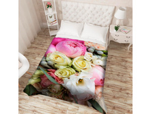 ��������� �������� 13592.jpg