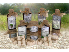 �������� ��������� ��������