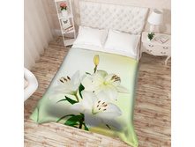 ��������� �������� 14040.jpg