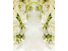 07871 210-260 �� pea26.jpg