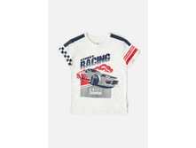 20110110154   Batler   �����(���).jpg