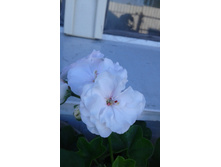 20170810 164626.jpg
