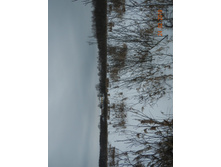 DSCN8270.JPG