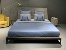 Bristol �����