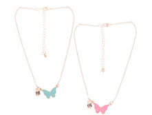 20206230068   Posita   �������.jpg