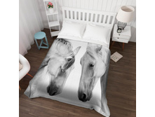 ��������� �������� 13526.jpg