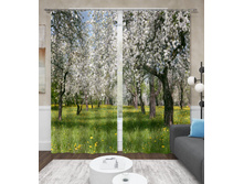 ����001-13544 2.jpg